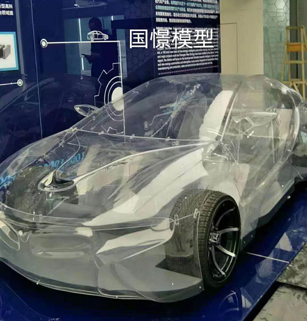 久治县透明车模型